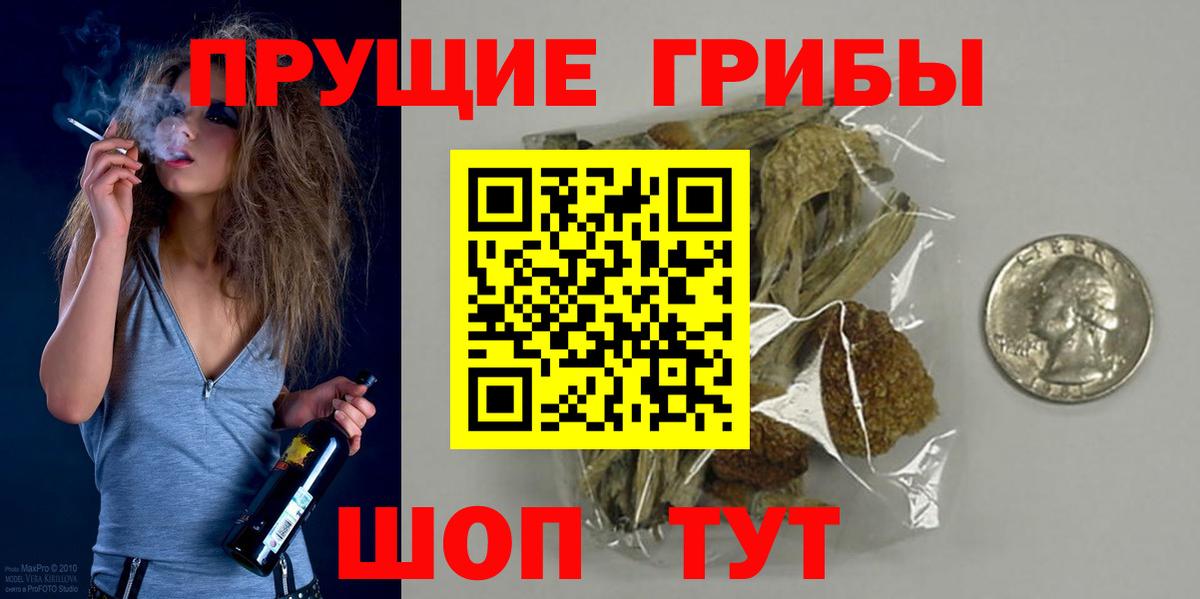 Галлюциногенные грибы Psilocybe Ачхой-Мартан