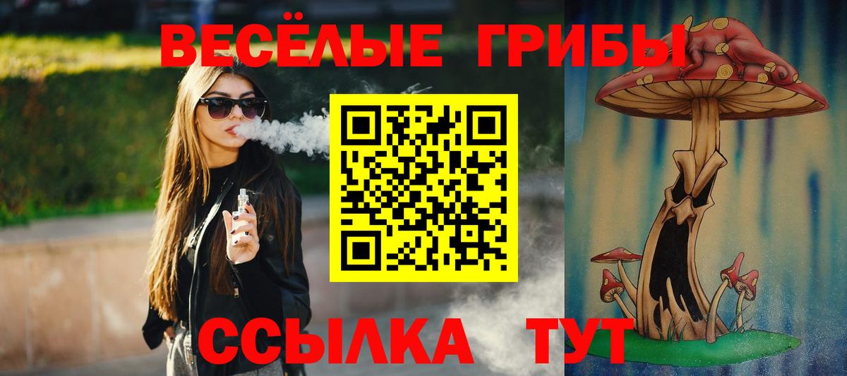 где купить наркоту  Вход с VPN  Ачхой-Мартан  Псилоцибиновые грибы ЛСД 